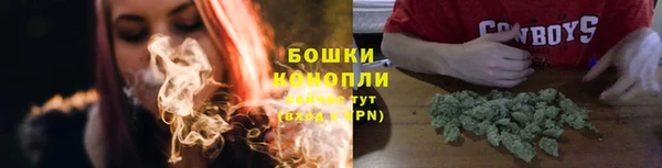 ПСИЛОЦИБИНОВЫЕ ГРИБЫ Бородино