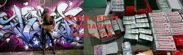 ПСИЛОЦИБИНОВЫЕ ГРИБЫ Бородино